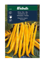 Frö Vaxböna 'Sonesta' Weibulls